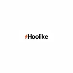 Hoolike