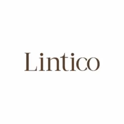 Lintico