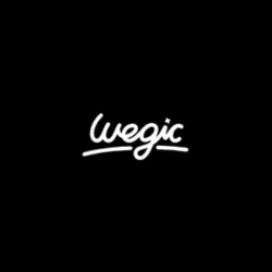 Wegic