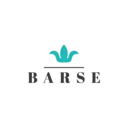 Barse Jewelry