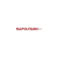 Napolitano Group
