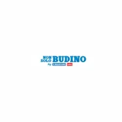 Non Solo Budino