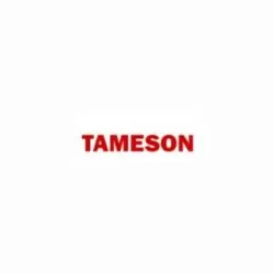 Tameson