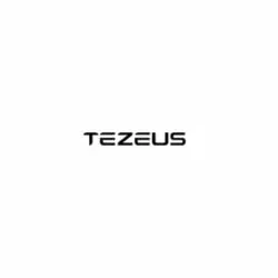 Tezeus Ebike